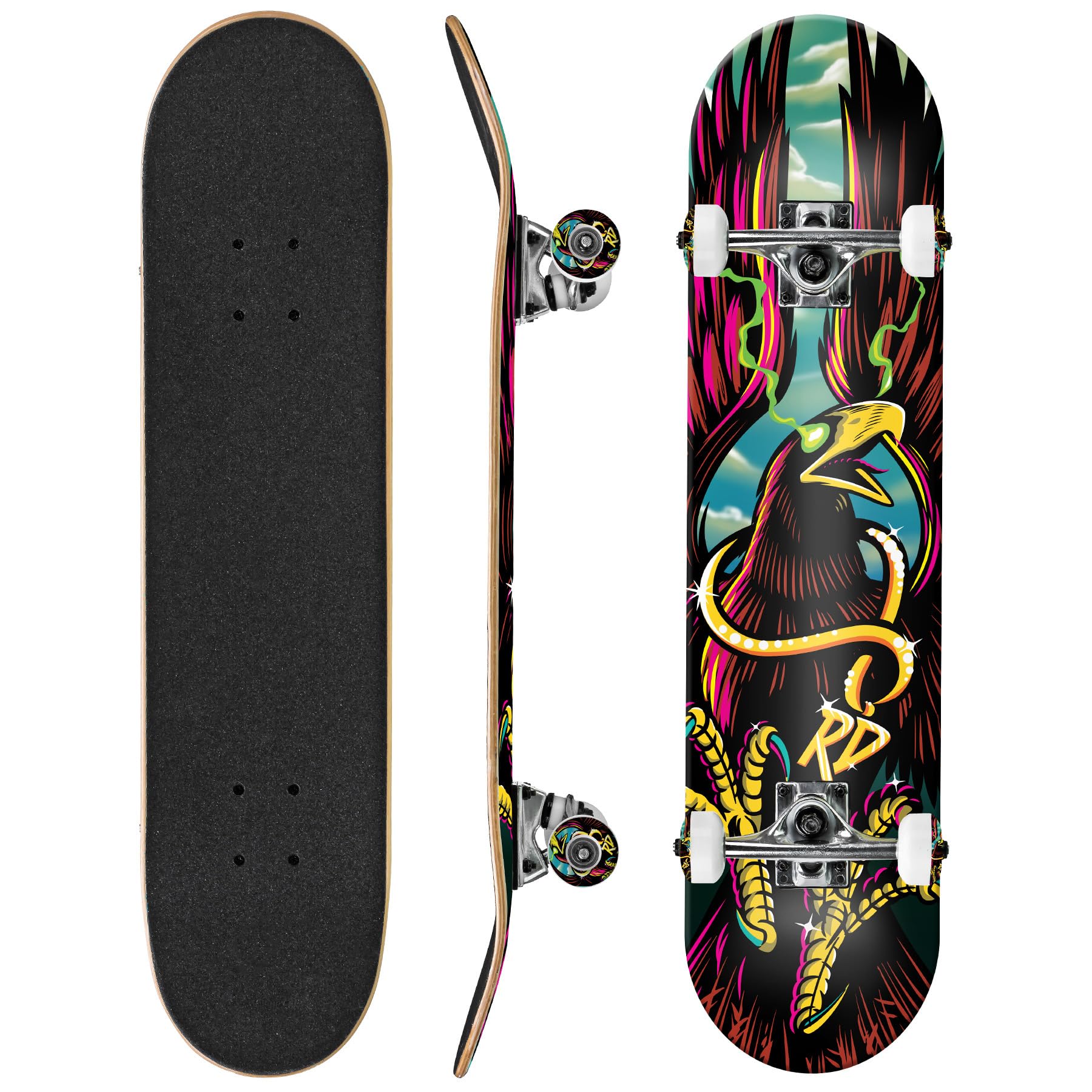 Amazon.com : Roller Derby Eagle Deluxe Series Complete Skateboard
