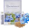 American Meadows Wildflower Seed Packets in Loving Remembrance Memorial Favors Pack of 20 - Forget-me-Not Seed Mix, Favors for Funerals, Wakes, Viewings, Visitations, Memorial Services