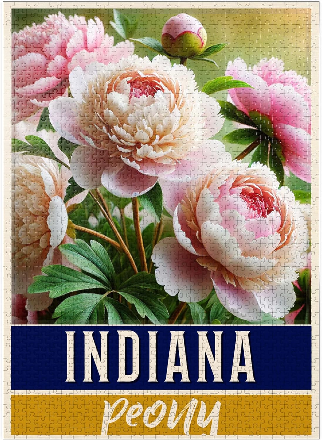 MyPuzzle State Flowers Series: Indiana, Peony - Premium 500 Piece Jigsaw Puzzle for Adults