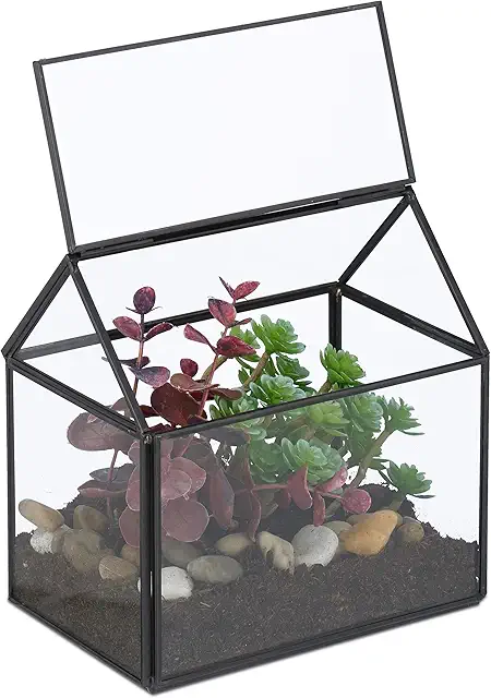Black Glass & Copper Plant Terrarium for Cactus & Moss, 15x15x10cm Indoor Greenhouse
