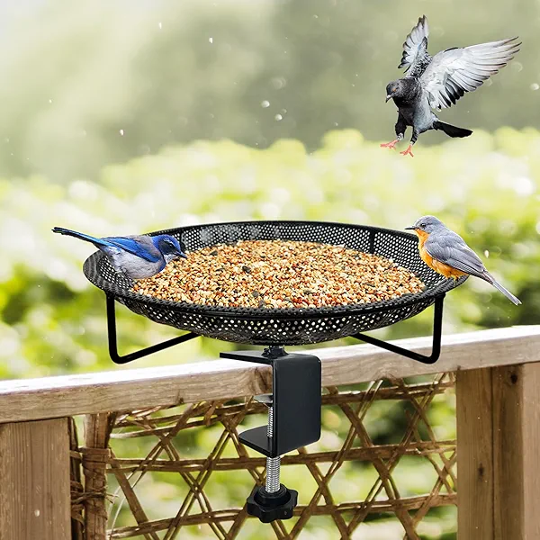 CQAIRIOU Premium Deck Railing Bird Feeder Tray for Balcony,11.8" Stainless Steel Large Platform Bird Feeder Mesh Seed Tray for Outside Wild Birds,Great Decoration for Garden Backyard