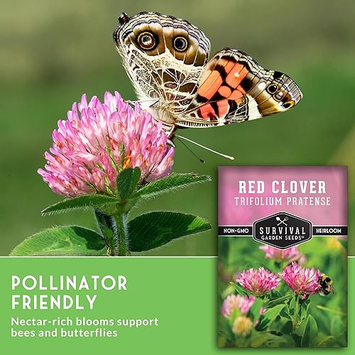 Miniatura 5 de Survival Garden Seeds - Semilla de trébol rojo para plantar - 1 paquete con instrucciones para plantar y cultivar una hierba medicinal y una