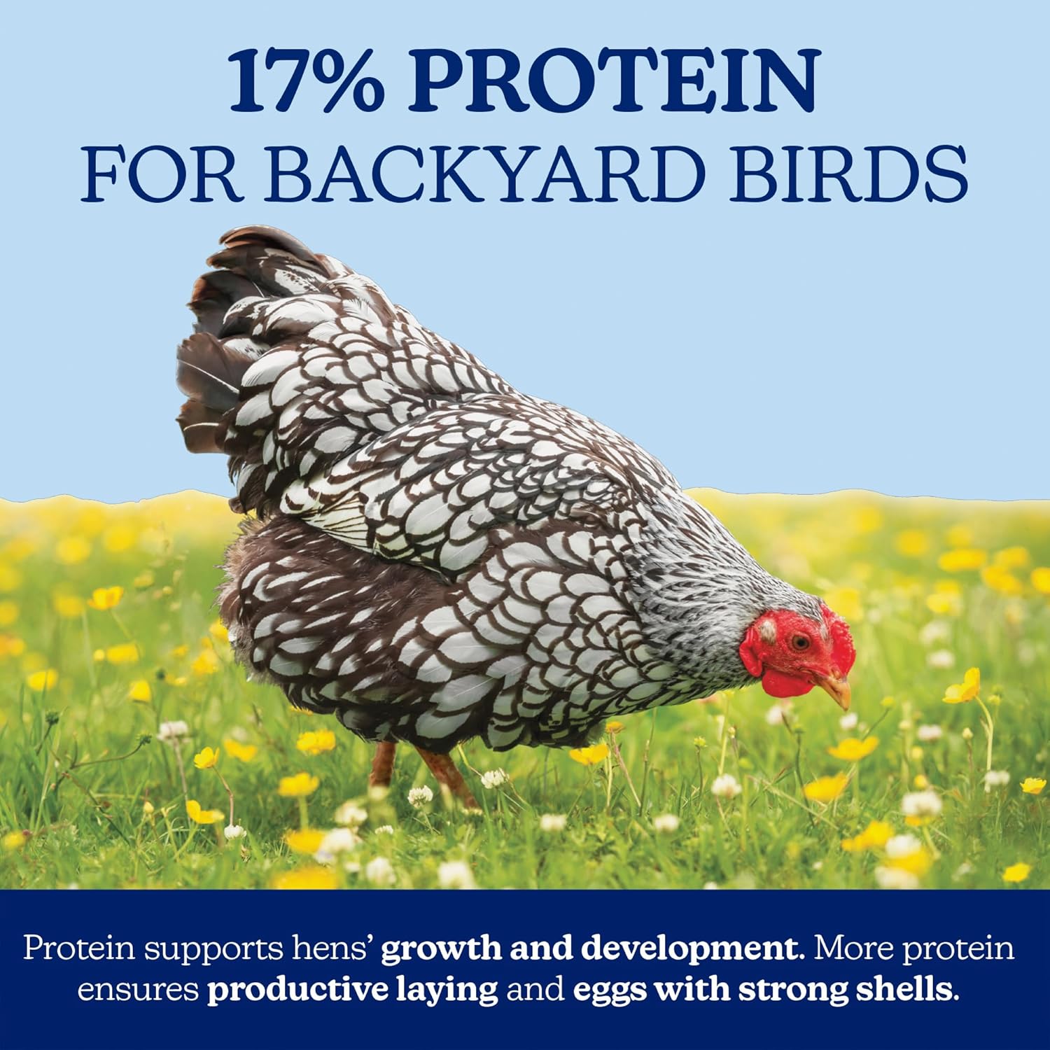 Nutrena NatureWise 17% Protein Layer Pellet, Food for Laying Hens, Poultry Feed, 40 lbs
