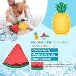 Pawaboo Pet Teether Jouets de chew, Jouet de Dentition Freezable pour chiots, pastèque et ananas Jouets interactifs de gel en été, outils d'entraînement surgelés pour chiens pour chiens petits et moyens
