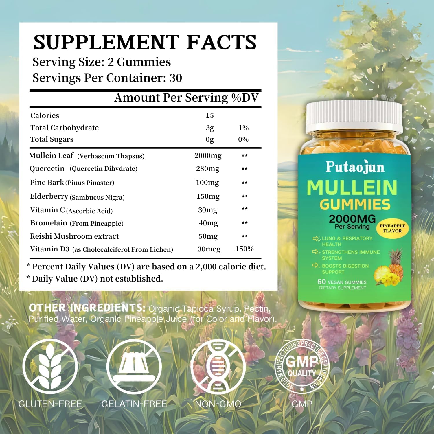 1 Pack 2000MG Mullein Gummies, Sugar Free Mullein Supplements for Respiratory Health, Organic Mullein Leaf Extract with Bromelain, Quercetin - Lung Support, Vegan, 60ct - Image 2