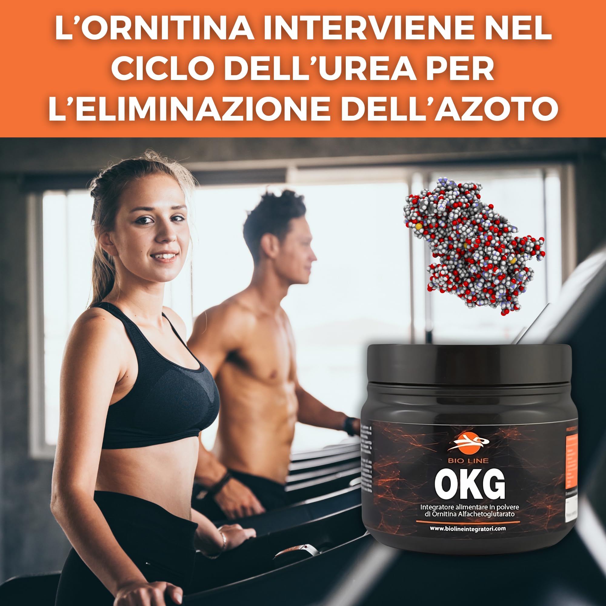 OKG POLVERE - Integratore alimentare di Ornitina alfa-chetoglutarato, 150 grammi