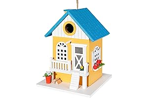 CARTMAN: Hummingbird Paradise