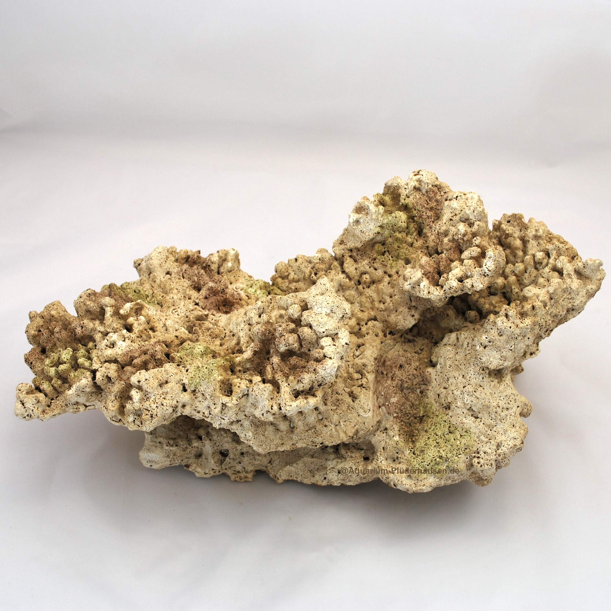Riffgestein, 41 x 23,5 x 18 cm,Felsen Nachbildung,Meerwasser Aquarium Deko