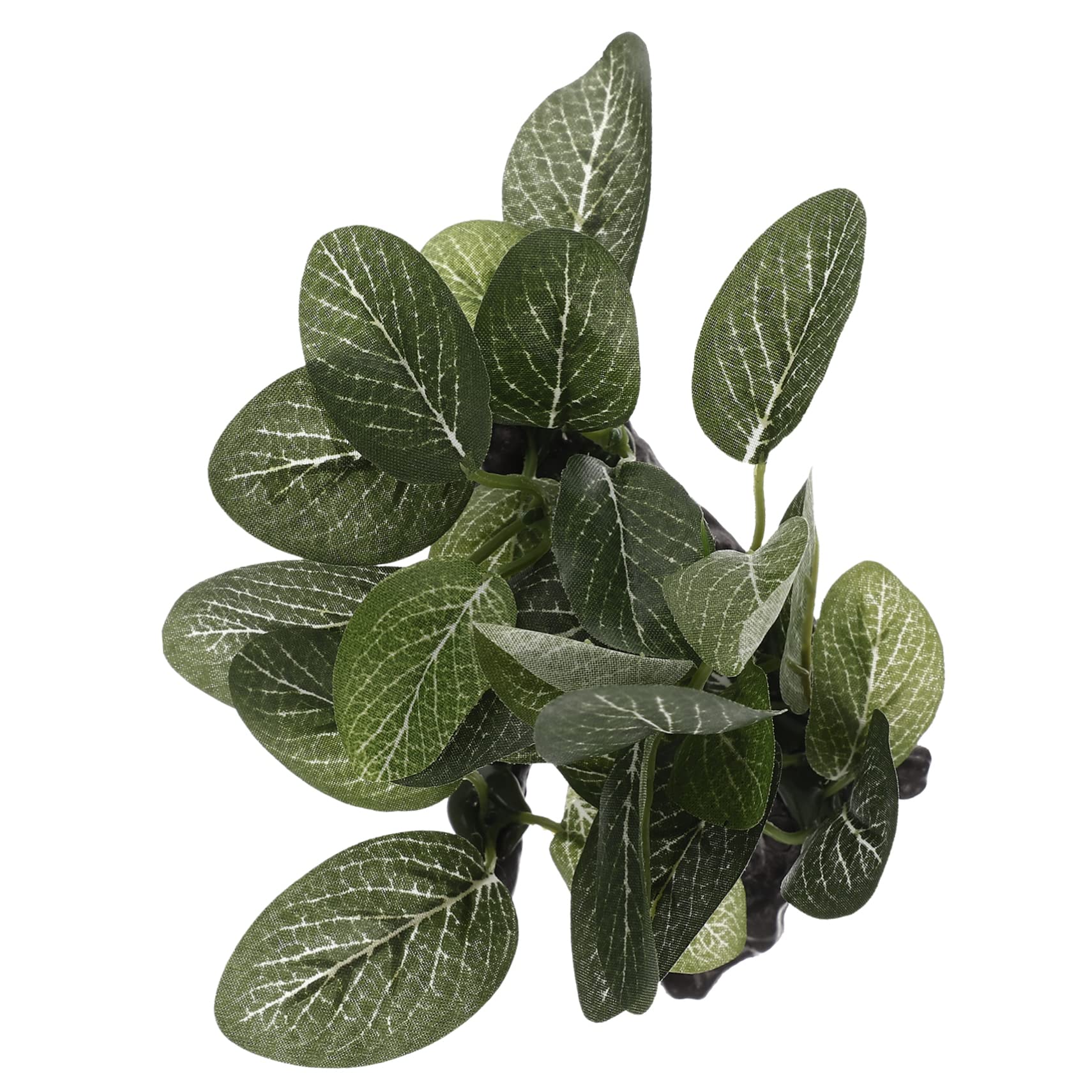 Accessoire décoration aquarium plante artificielle réaliste aménagement terrarium