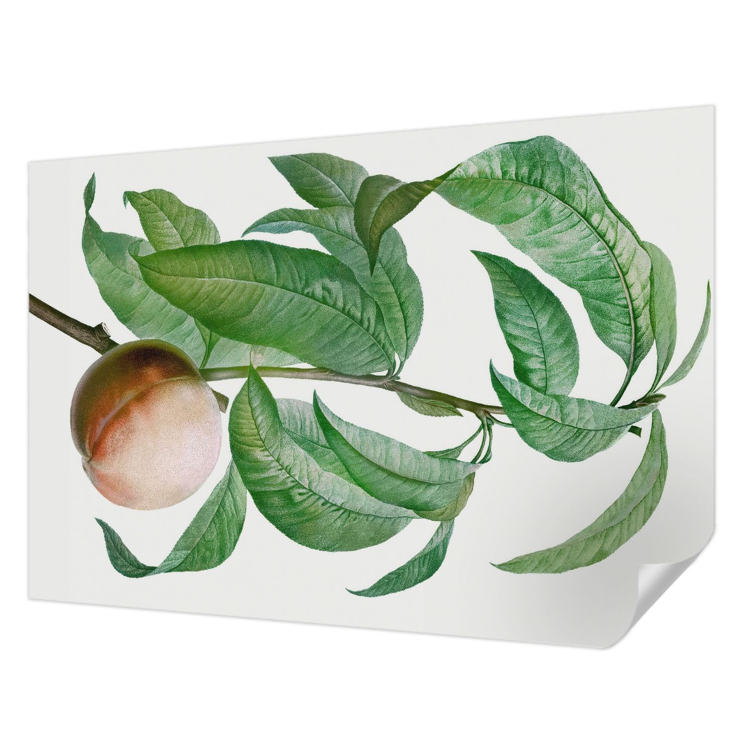 Papier peint auto-adhésif Tulup pour chambre moderne et salon design 152x104 cm