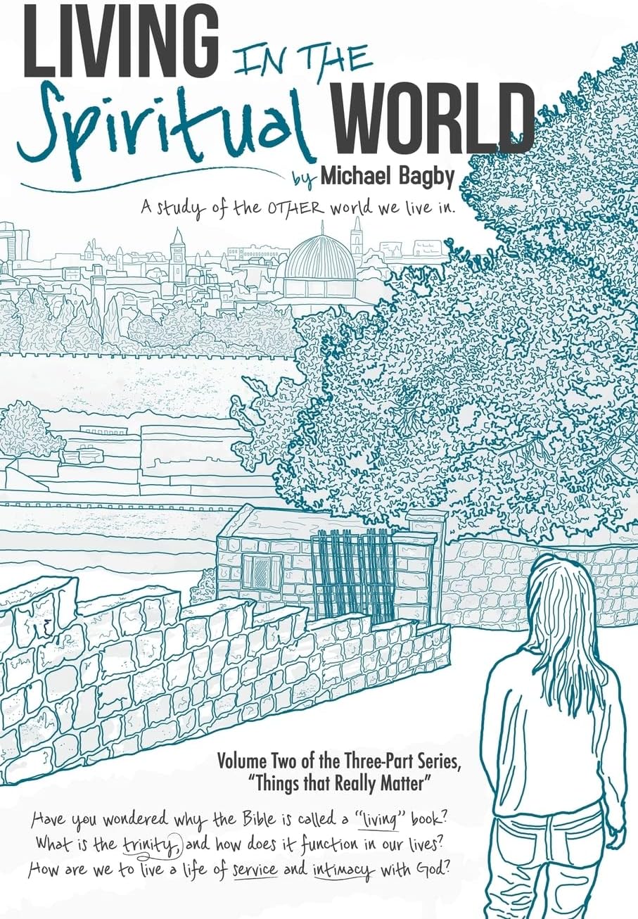 Living In The Spiritual World: A Study Of The Other World We Live In: Volume 2 (Things That Really Matter) Paperback โ 6 Feb. 2017
