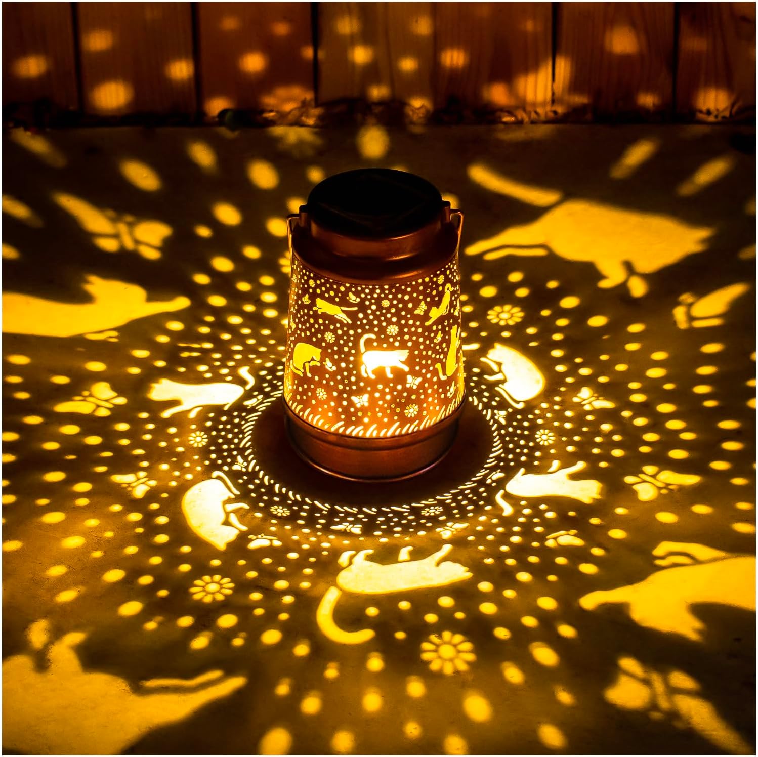 Solar Lanterns 1 (Cat)