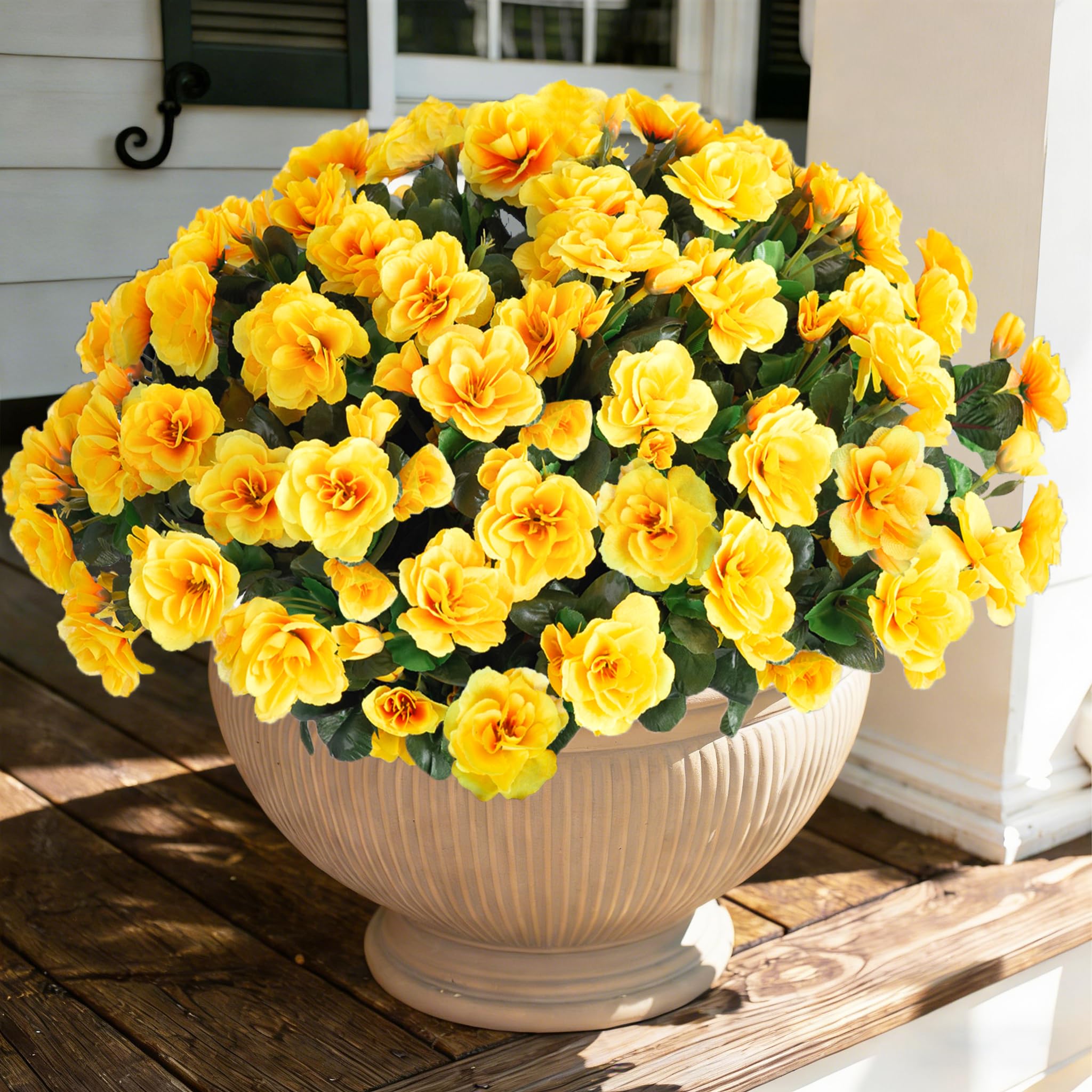 Ivydale Camellia 3 Bundles
