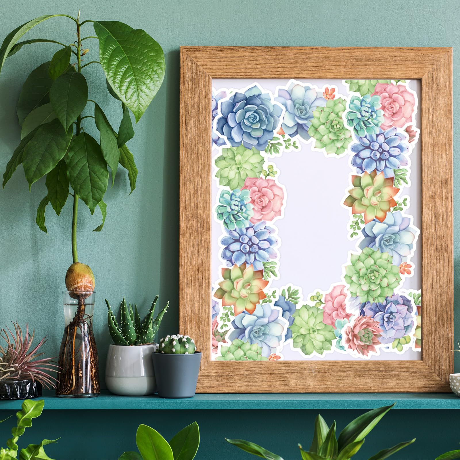 Amazon.com: Whaline 32.8 Ft Spring Summer Succulent Bulletin Board Borders  Colorful Watercolor Plant Die-Cut Rolled Border Trim for Back to School  Classroom Office Chalkboard Decoration : Office Products