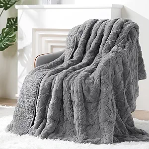 Super Fuzzy Soft Sherpa Fleece Weighted Blanket, 20 lbs Dual Sided Fluffy Heavy Weighted Blankets for Adults - No Bunching with Double Layers of Soft Inner Lining (60"x 80", 20 Pounds)