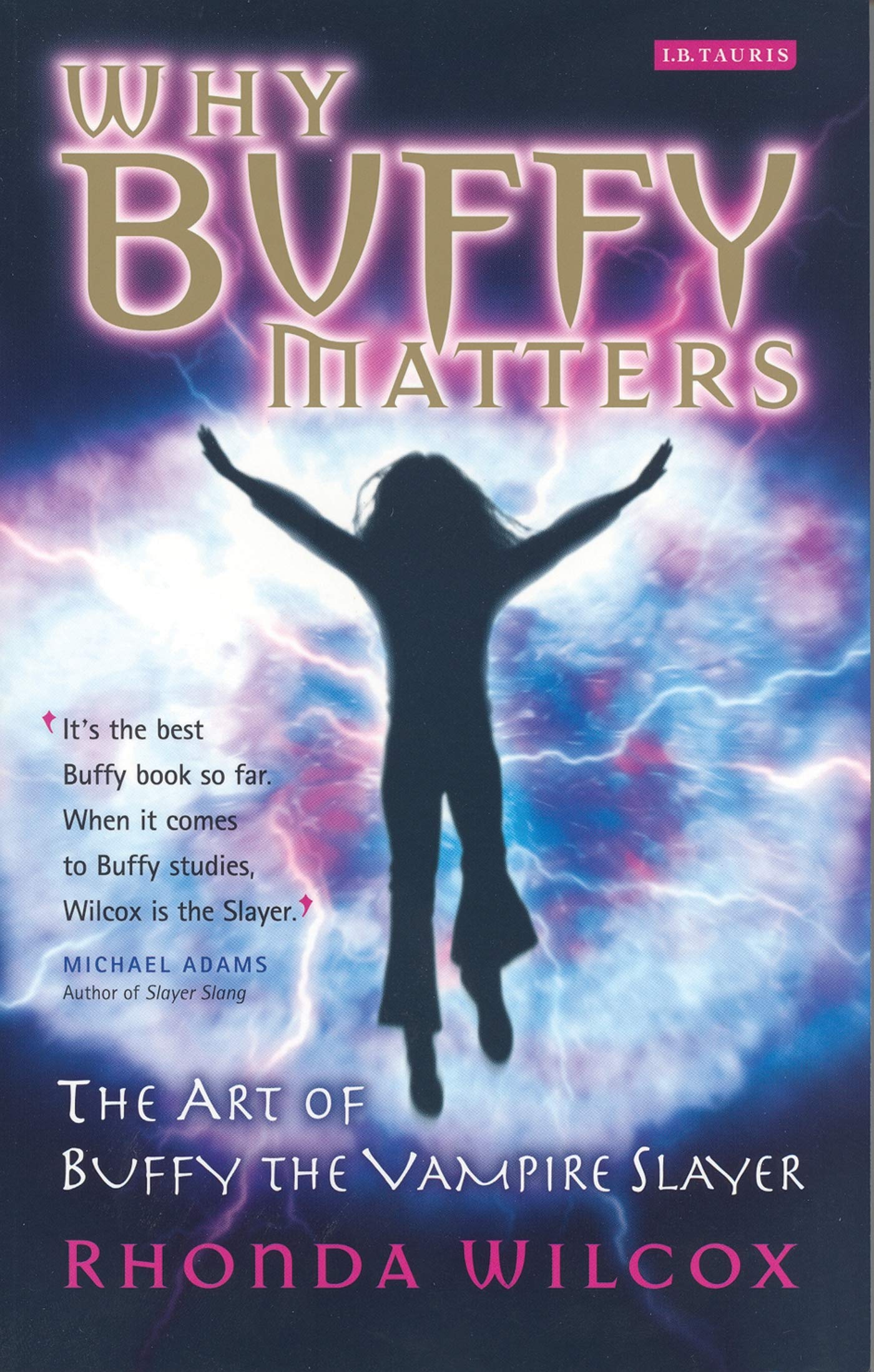 Why Buffy Matters: The Art of Buffy the Vampire Slayer: Wilcox, Rhonda V.:  9781845110291: Books - Amazon.ca