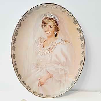 81Z210s0N6L._AC_UF350,