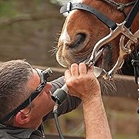 Vista 7 de Kit dental equino para caballos, mordaza de boca de caballo de espéculo, cuatro ajustes de trinquete, mecanismo de bloqueo seguro, construcción