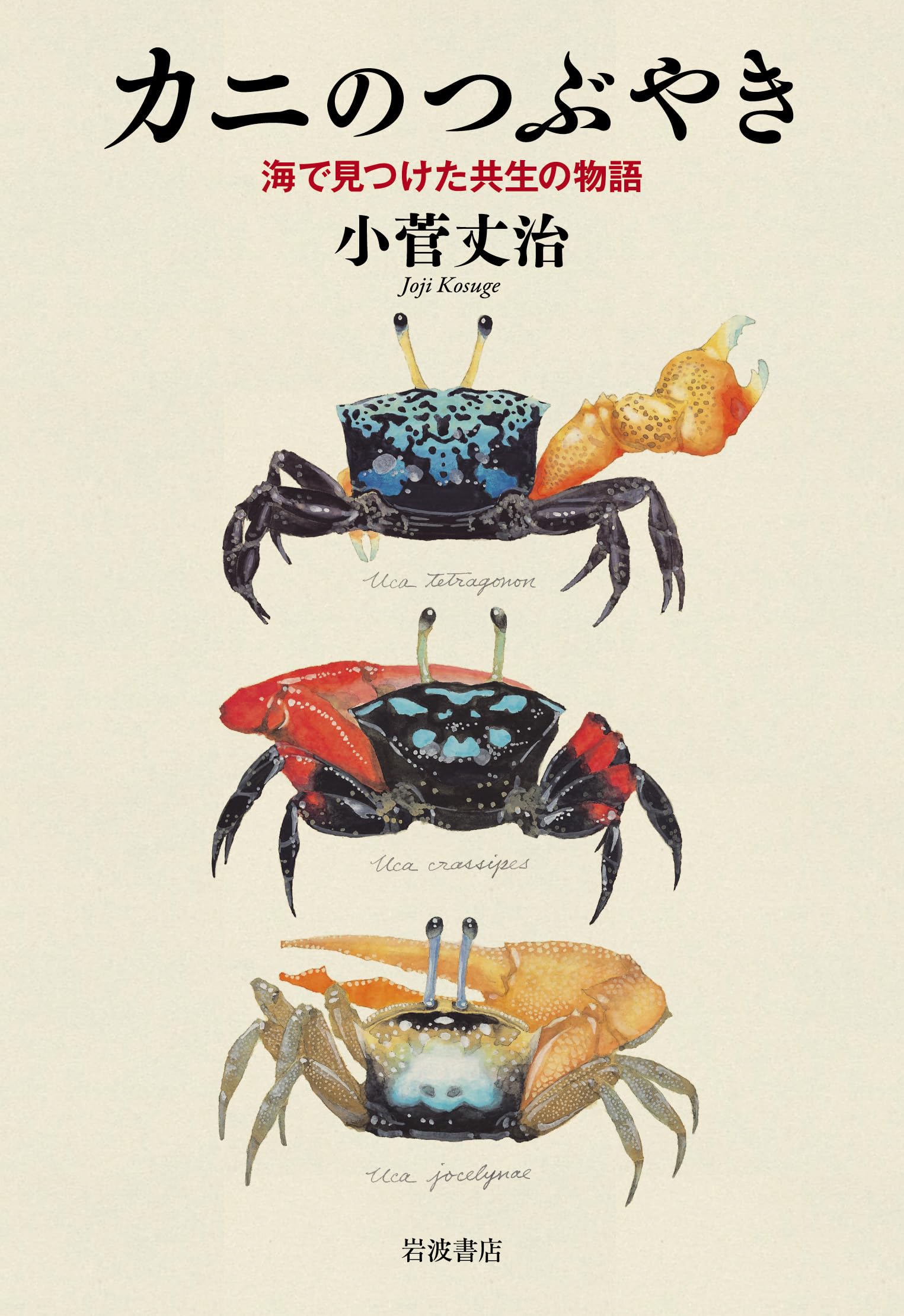 カニのつぶやき――海で見つけた共生の物語 | 小菅 丈治 |本 | 通販 | Amazon