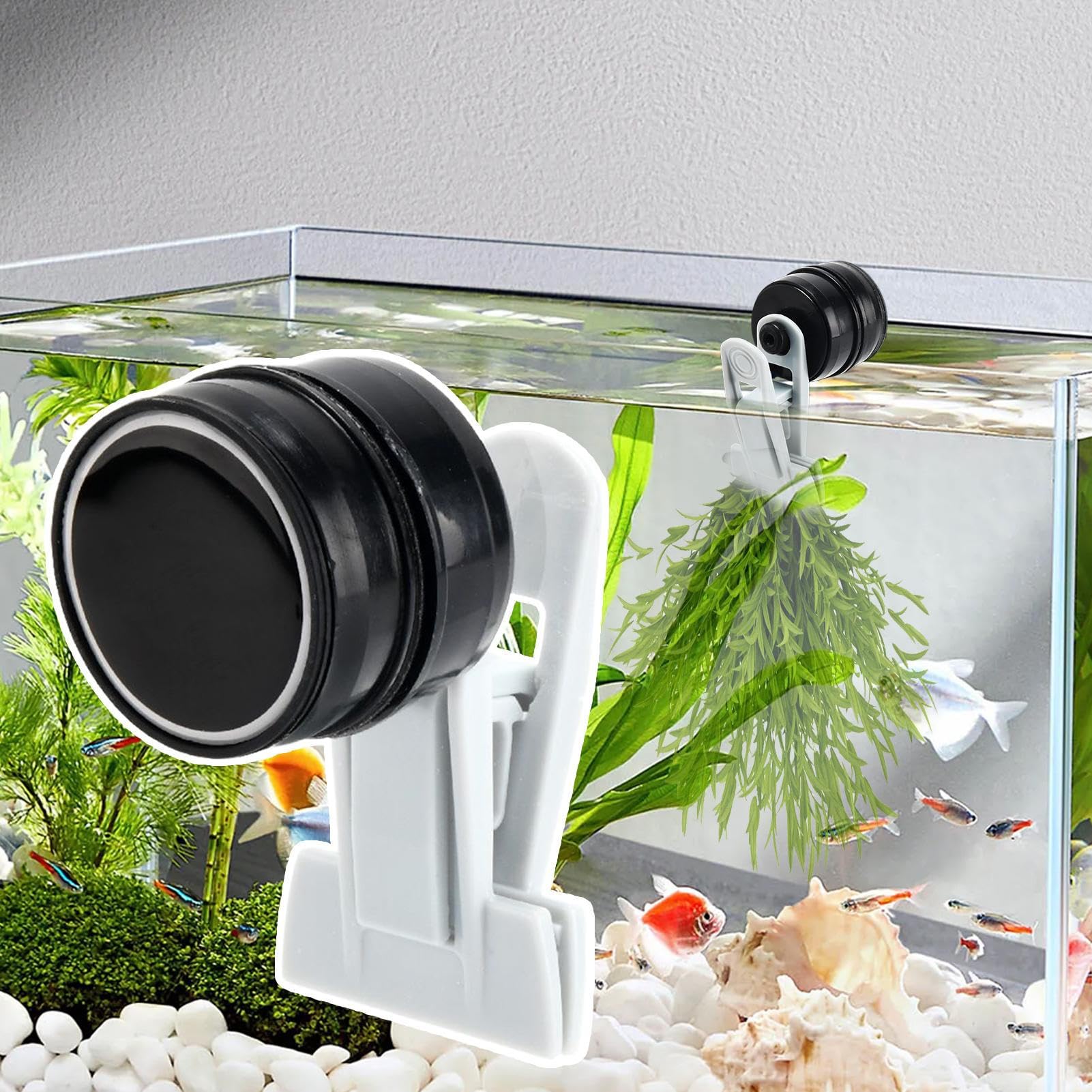 Magnetische Algenklammer Für Aquarium - Automatischer Futterhalter