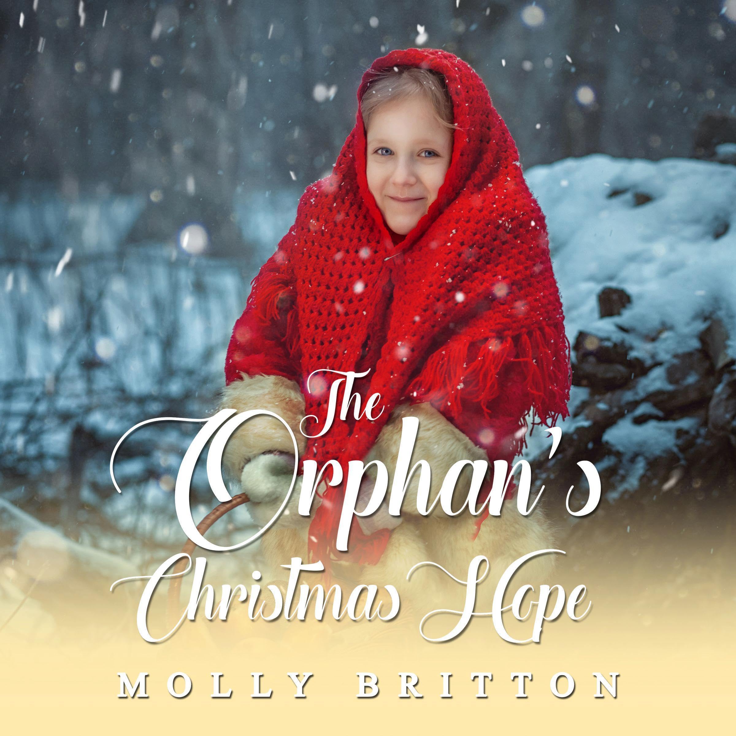 The Orphan’s Christmas Hope