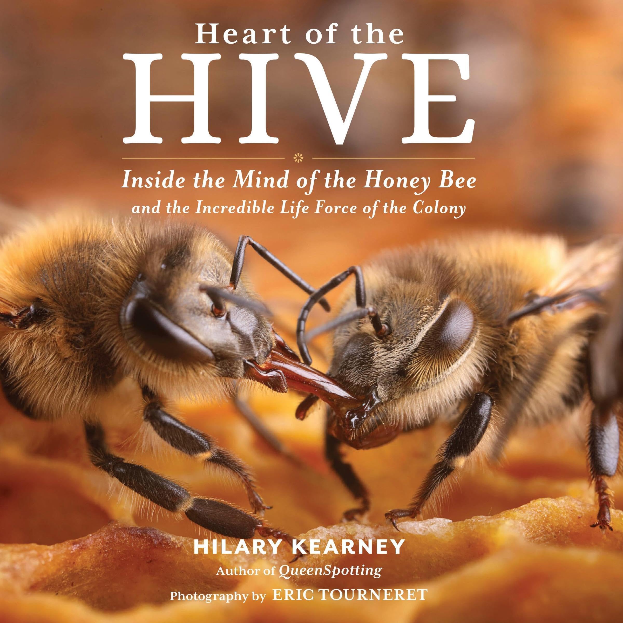Cover art for Heart of the Hive
