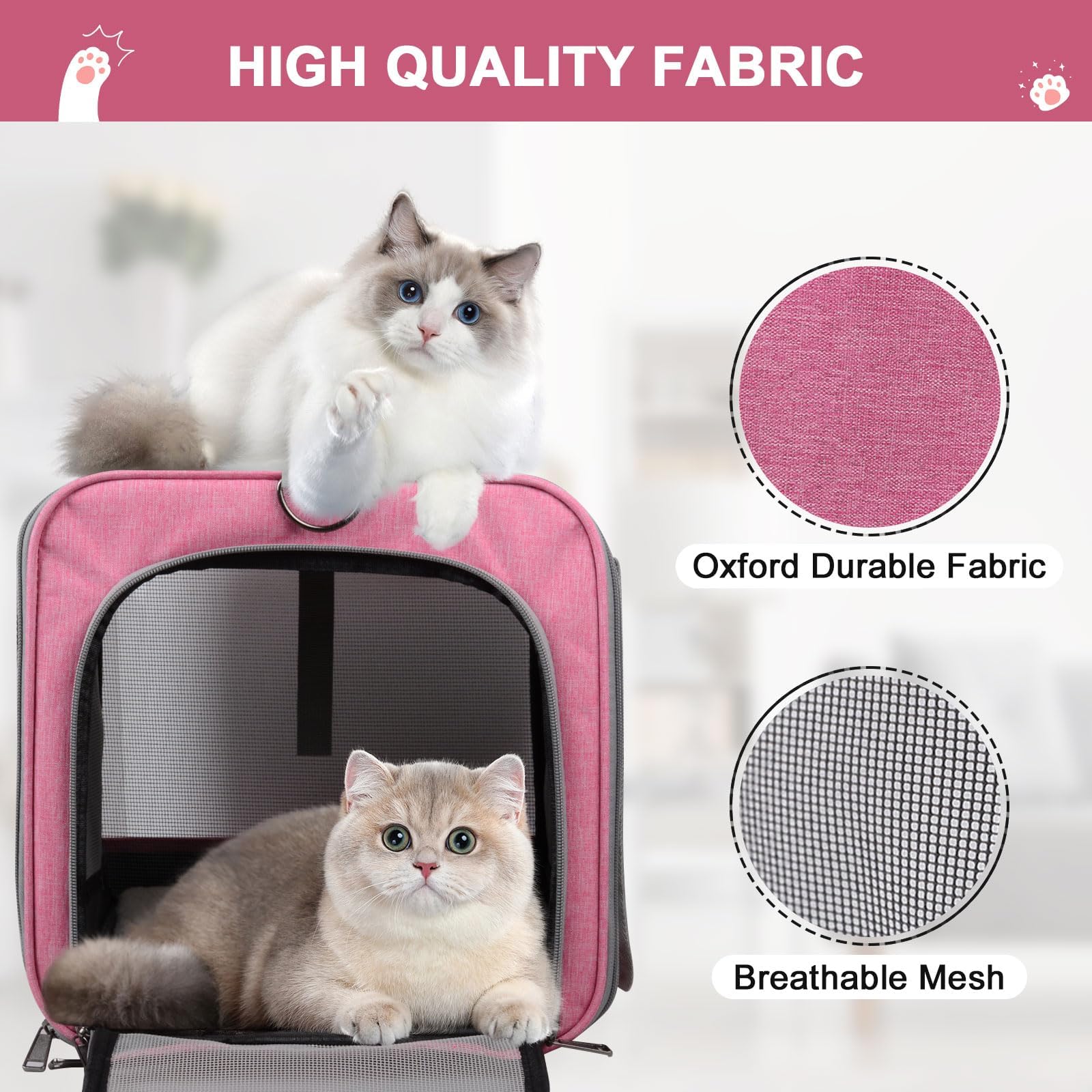 Qoosea Trasportino per Gatti e Cani Portatile e Ripiegabile Trasportino per Animali, Portatile Borsa per Trasporto per Gatto e Cane di Piccola e Media Taglia (Rosa)