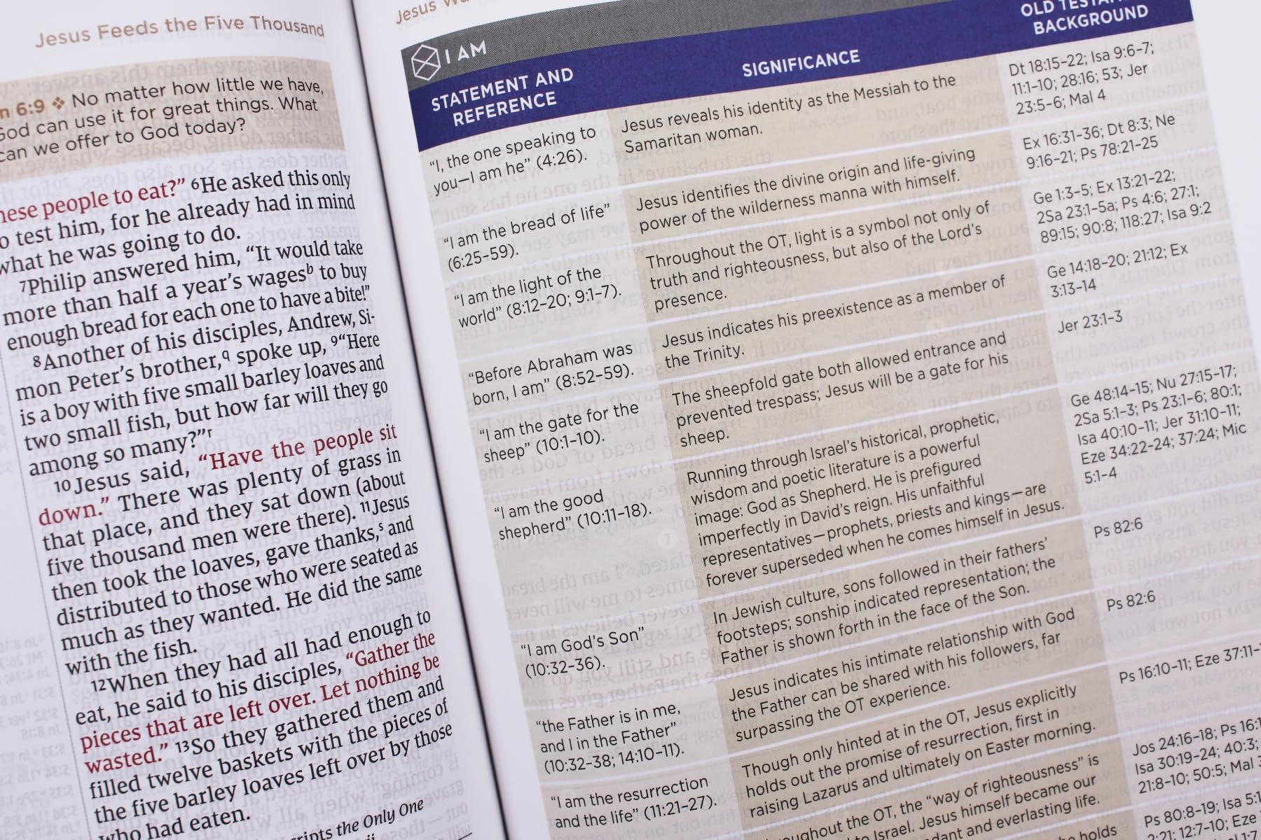 NIV Application Bible, European Bonded Leather, Black, Red Letter, Comfort Print: Bringing the Ancient Message of the Bible into Your World (NIV Application Commentary Resources)