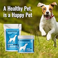 Vista 7 de Mushroom Matrix Suplemento en polvo de hongos orgánicos caninos para recuperación y apoyo para personas mayores, 7.05 oz (el embalaje puede variar)