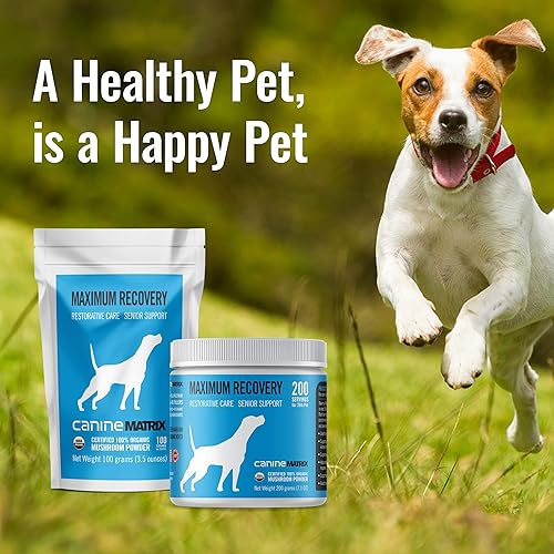 Miniatura 7 de Mushroom Matrix Suplemento en polvo de hongos orgánicos caninos para recuperación y apoyo para personas mayores, 7.05 oz (el embalaje puede variar)