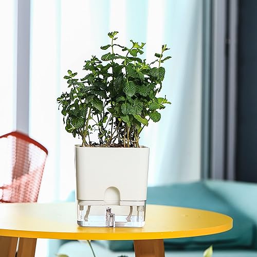 Miniatura 7 de Planterhoma Macetas de riego automático para plantas de interior de 4.3 pulgadas, 6 paquetes de macetas cuadradas de riego automático con orificio