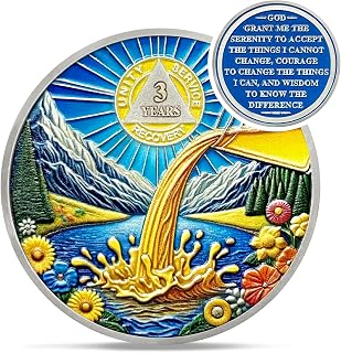 Creative Dump Beer 3 Year AA Coins - Recovery Addicts Three Year Sobriety Coin - Celebrate Milestone AA Chips and Medallions - 1-10 Prime Living Clean Alcoholics Anonymous Gifts for Men Women