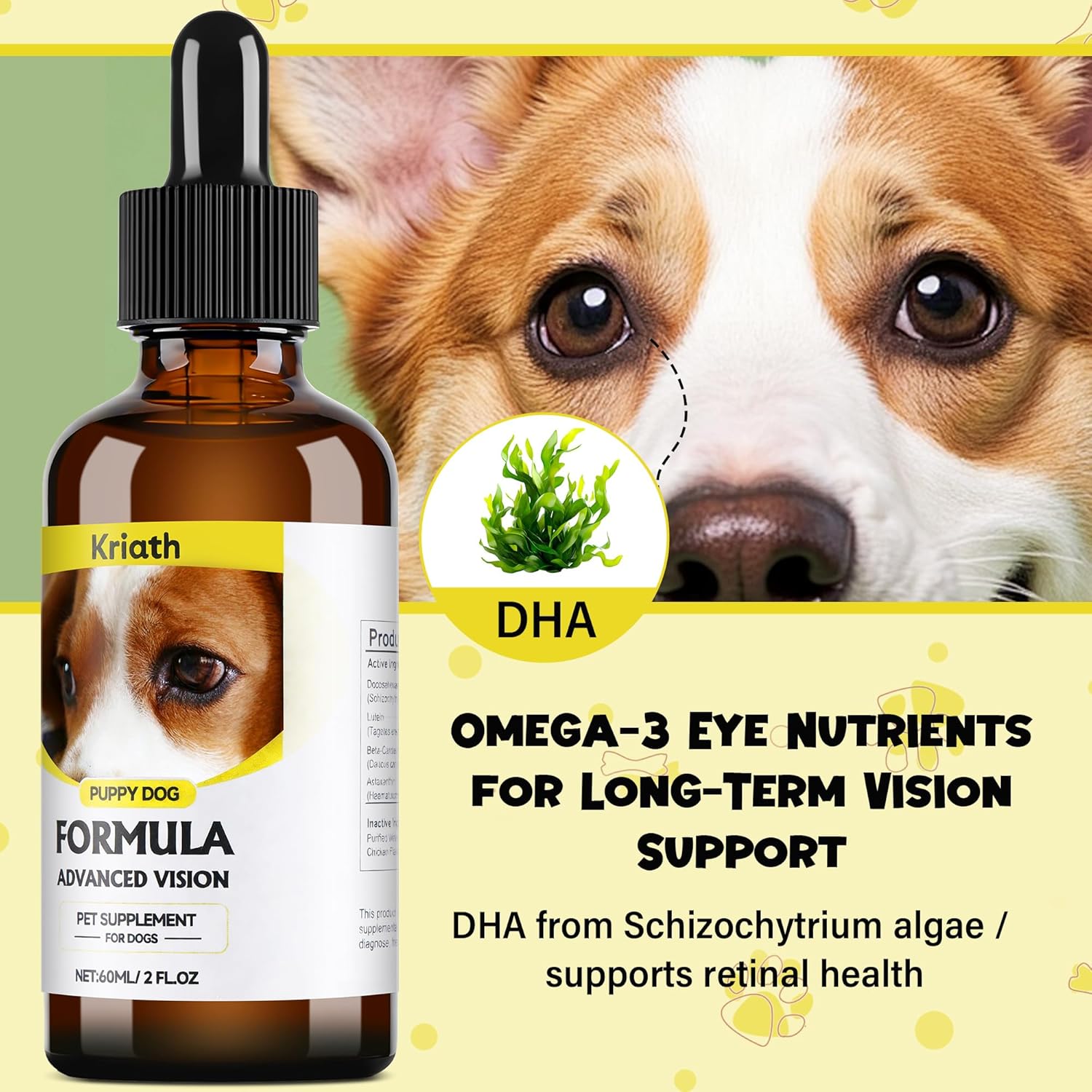 Advanced Vision Formula for Dogs – Liquid Formula with DHA, Lutein & Astaxanthin – Helps Maintain Clear, Healthy Eyes & Vision – 2 oz (60 mL) Oral Drops