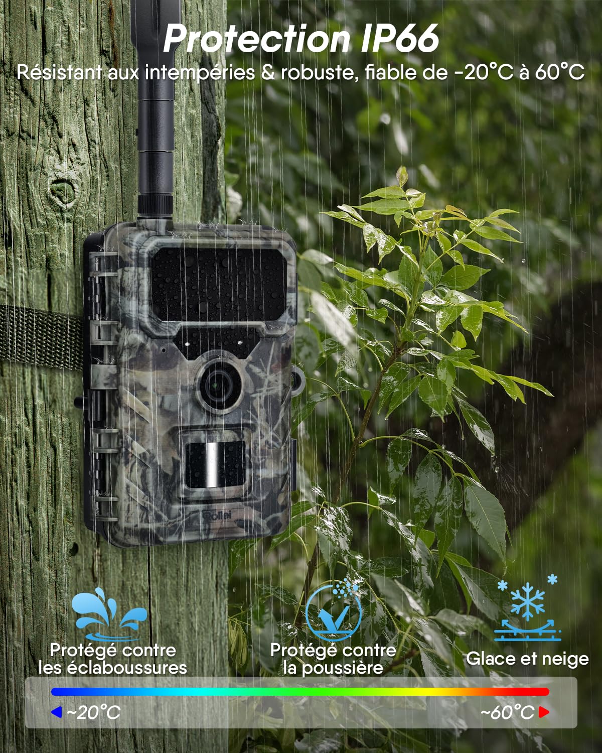 Rollei Camera de Chasse 4G 4K avec Carte Sim/Carte SD 32Go/App Mobile | Caméra Chasse Connectée Smartphone avec Détecteur de Mouvement Infrarouge Vision Nocturne Animaux Camera avec Batterie IP66