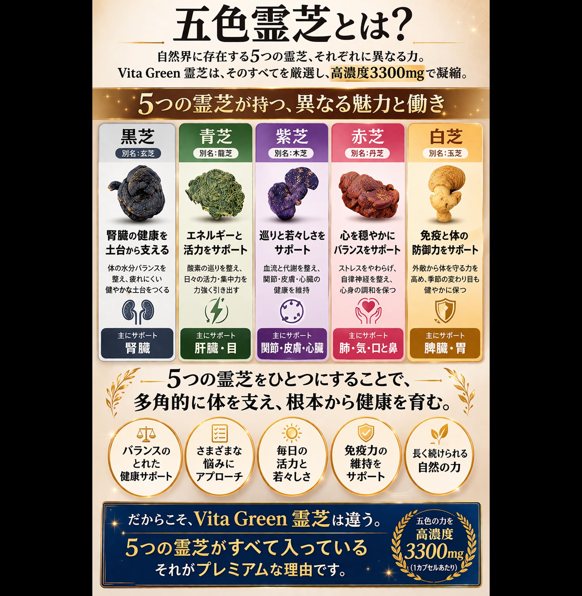 Amazon.co.jp: 五色霊芝 高濃度 23760mg βグルカン配合 プレミアム霊芝