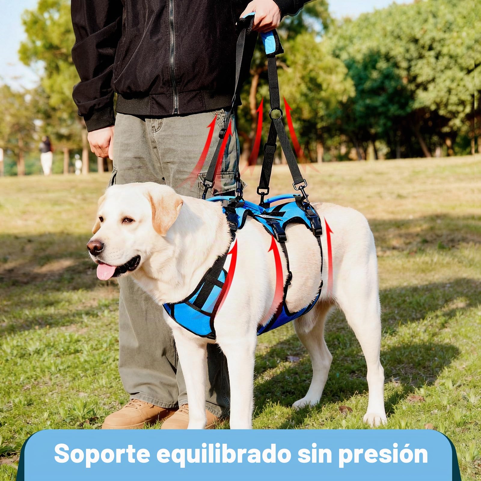 arnés Elevador para Perros medianos, arnés de Soporte Corporal Completo con 3 Asas y Correa para Hombro, Ayuda de Movilidad para Perros Mayores con Artritis, escaleras, Azul, M