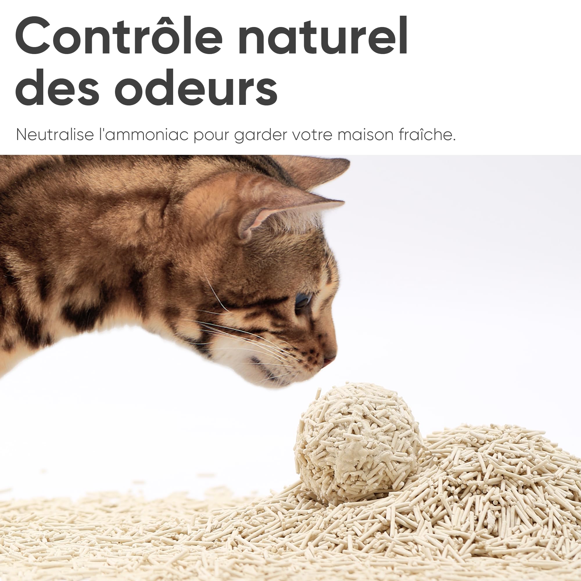 FUKUMARU Litière pour Chat en Tofu Naturelle Non Parfumée, 24L, sans Poussière, Agglomérante Rapide, Contrôle des Odeurs