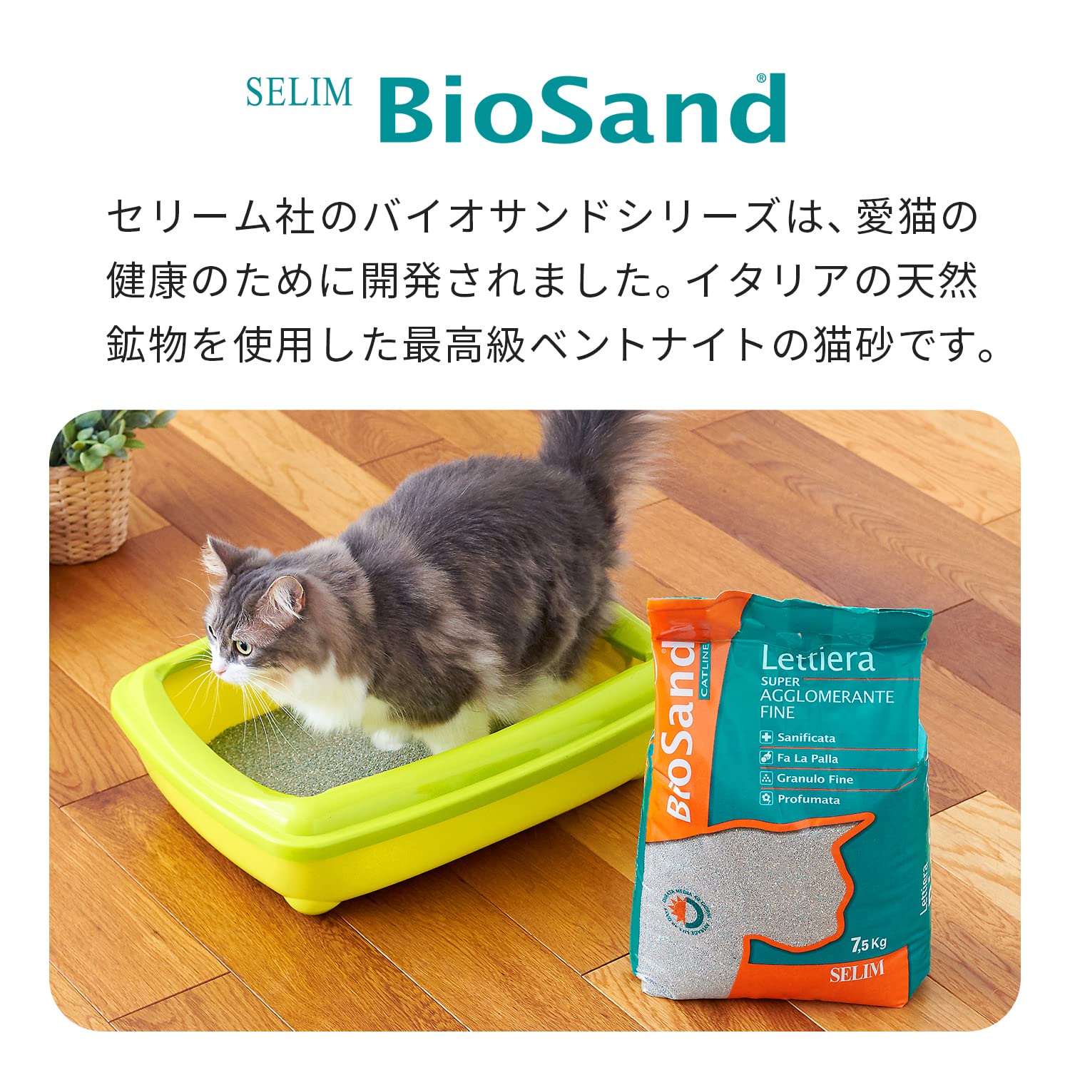 アル中猫 AIM30 20歳を迎える室内猫用腎臓の健康ケア│マルカンの製品一覧