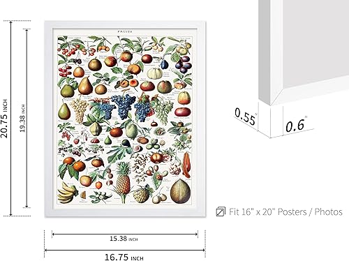 Miniatura 428 de Poster Master Póster vintage de orquídea, estampado de flores retro, arte de pared de plantas exóticas, arte botánico, regalo para hombres y