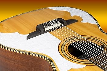 Amazon.com: GHS Strings GHS Stainless Steel Bajo Quinto