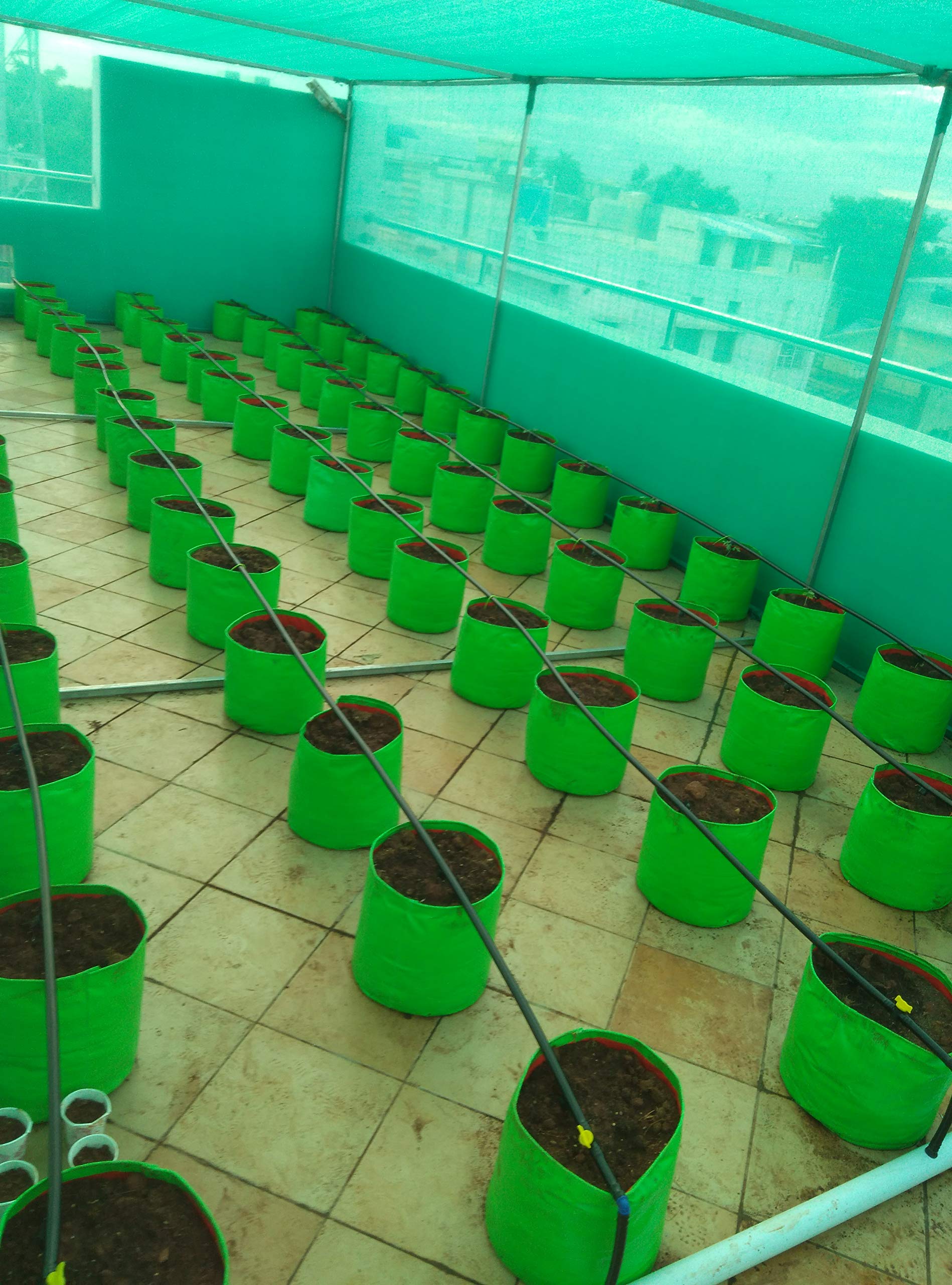 Bio Blooms Agro India Pvt.Ltd. 12X12Inch HDPE Plant Grow Bags for Terrace Gardening | Pack of 10 | Green & Orange Color | Outdoor Use — Amazon image 4