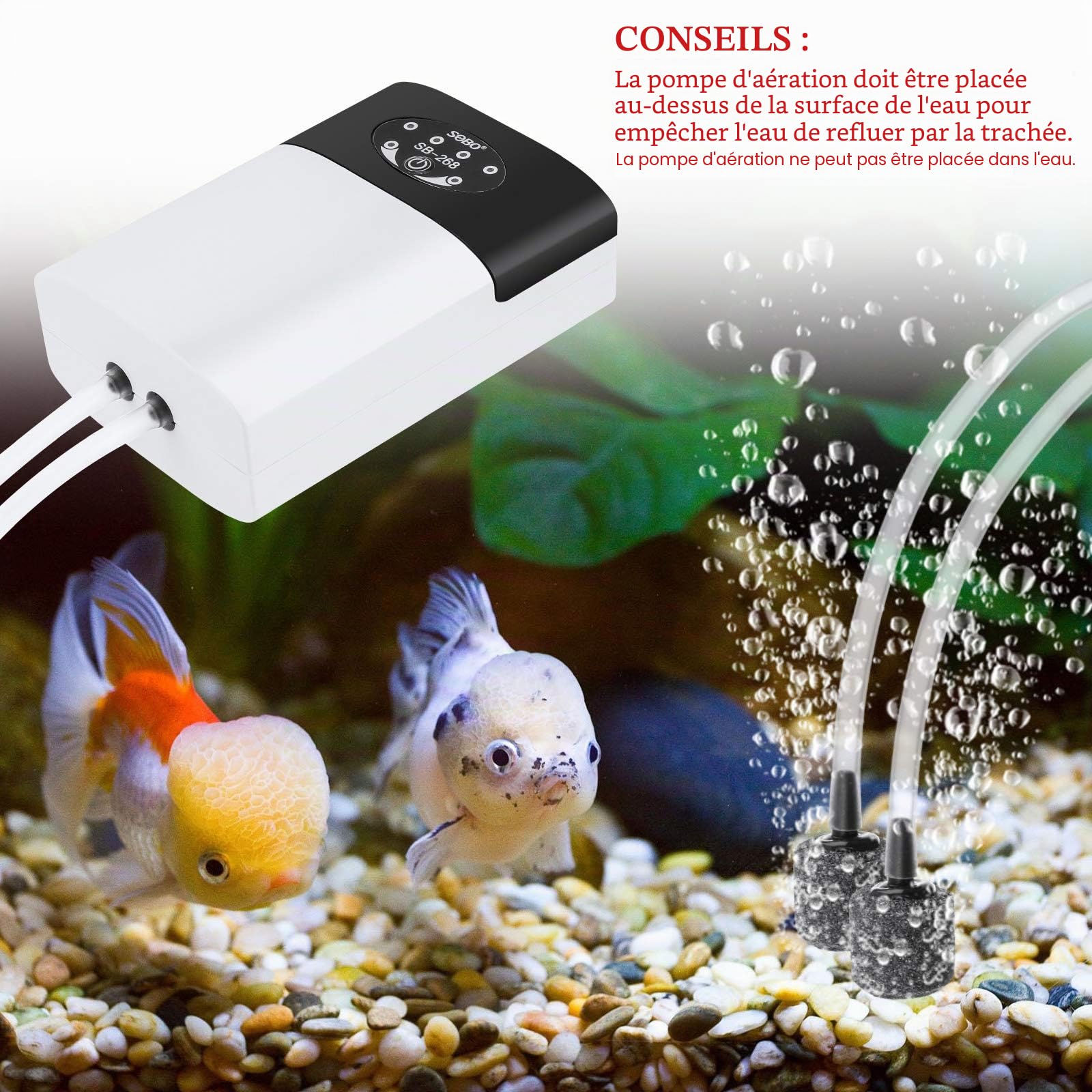 Pompe à Air d'Aquarium Portable USB, Bulleur Silencieux, Oxygène, Débit 2 * 3L/Min, 2 Sorties d'Air