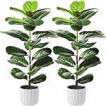 Suntee 2 Figuier à feuilles de violon artificiel, 30" Ficus Lyrata Faux plantes avec pots, plantes artificielles Faux Plantes Intérieures pour Décor Maison Salon, Coin, Bureau, Table, Windowsill Decor (75cm)