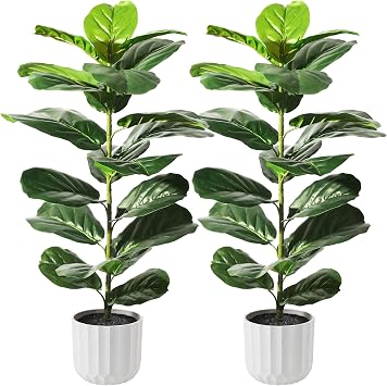 Suntee 2 Pack Faux Fiddle Leaf Fig Trees with Decoration White Pot, 30in