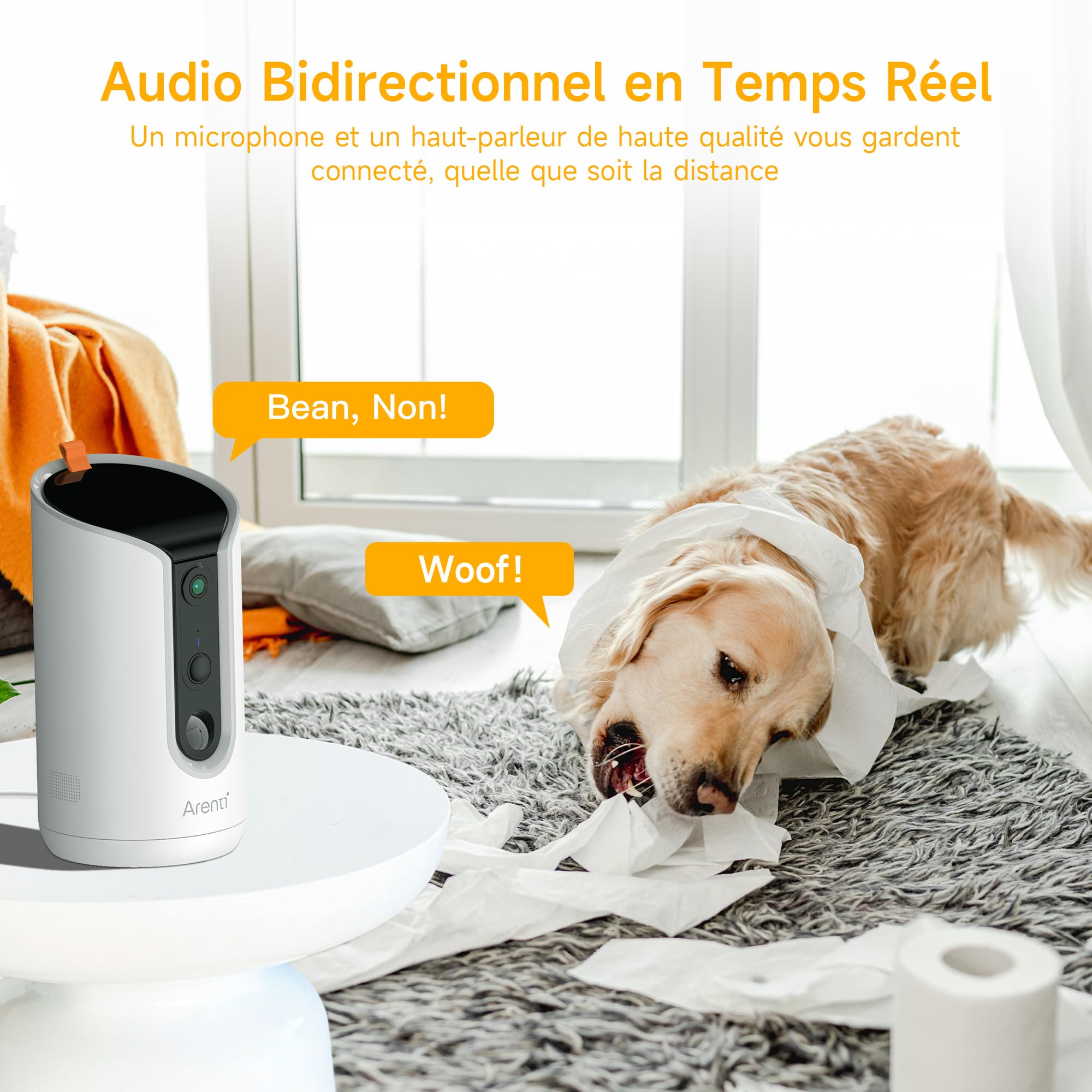 ARENTI Distributeur Automatique de Croquettes pour Chat avec Caméra WiFi, Caméra de Surveillance avec Distributeur, Alertes Intelligentes/Vision Nocturne, Audio Bidirectionnel, Alexa