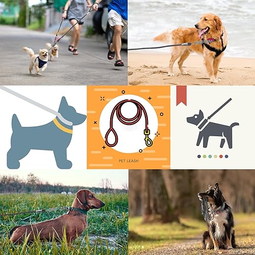 Miniatura 8 de Correa de perro de 12 pulgada para perros medianos y grandes de 4 pies, 6 pies, 10 pies, 15 pies, correa resistente para perro, correa