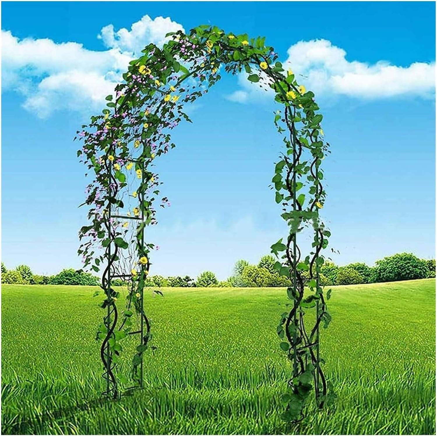 Jardin arboré arche en métal noire pour sublimer une allée de roses