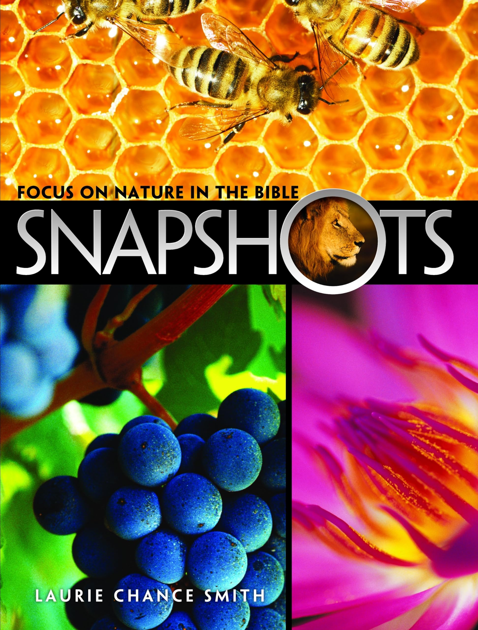 Buy Snapshots: Focus on Nature in the Bible — BookShops.in