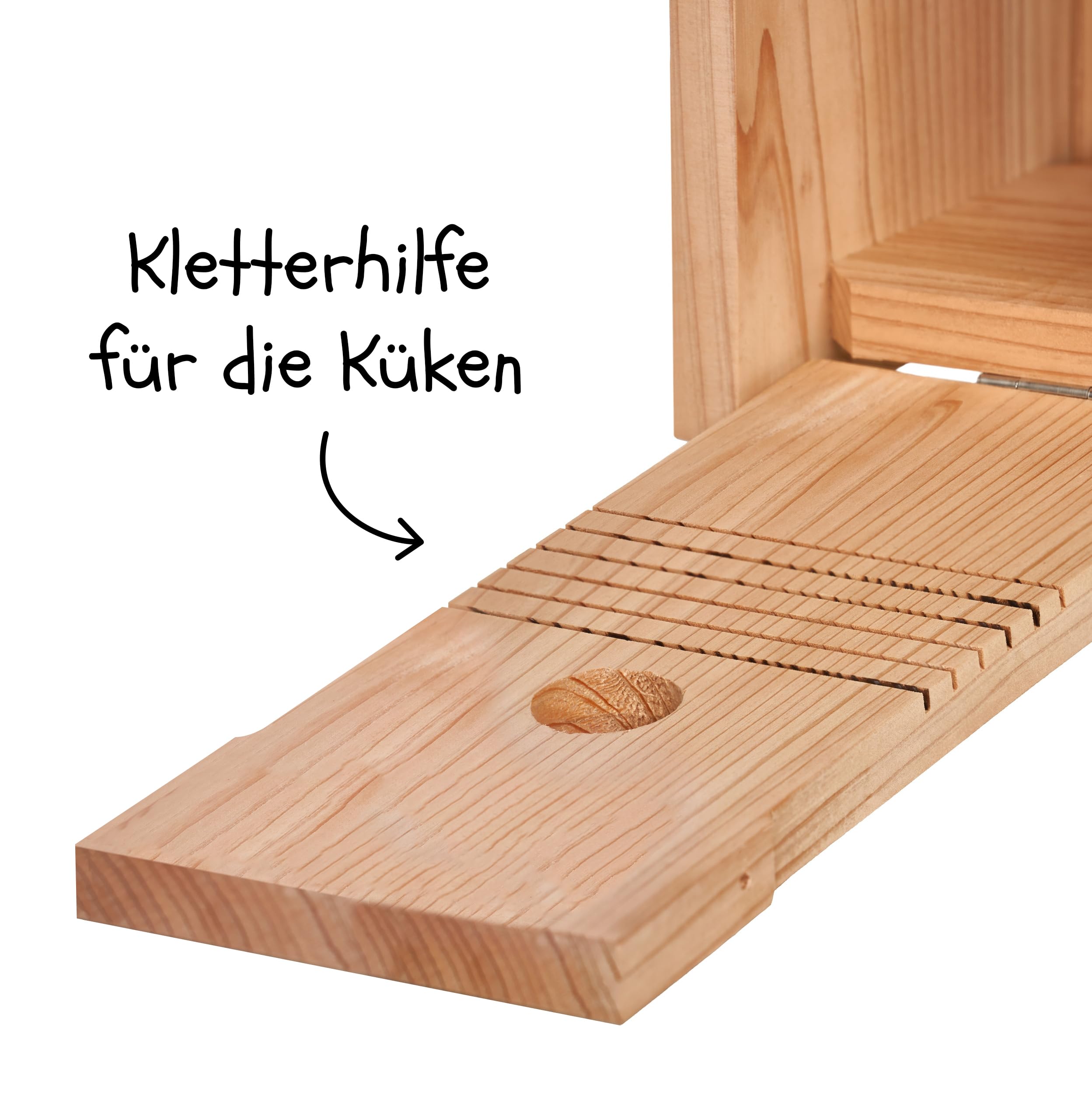 Little Birds - Caja nido para cámara "Blink", madera maciza ecológica, protección para gatos y pájaros carpinteros, incubadora
