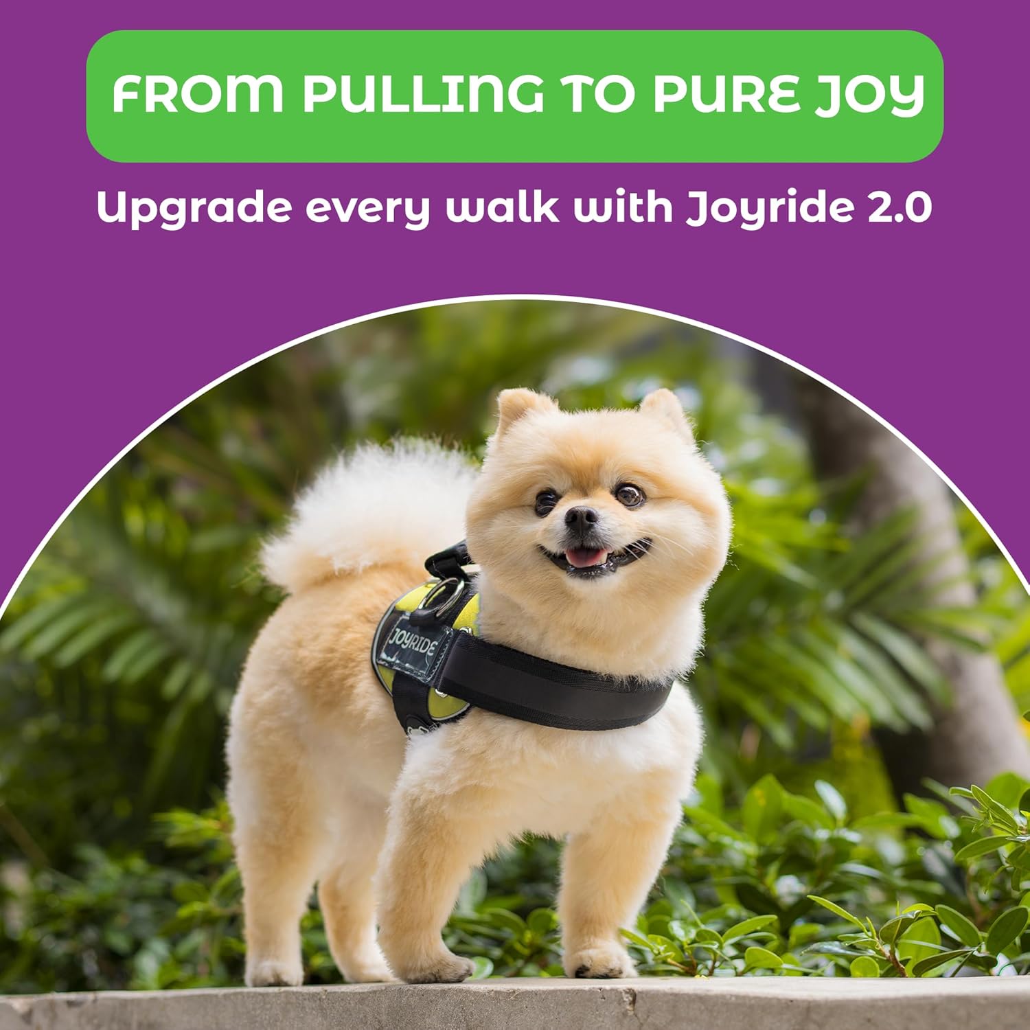 Joyride Harness 2.0 - The Original Side Ring No Pull Dog Harness - No Choke, Escape Proof, Reflective, 3 Leash Clips, Quick Fit Pet Vest - Easy Walks & Training - for Small, Medium & Large Dogs